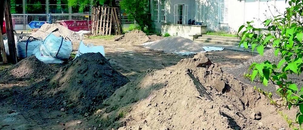 Oberflächlich. Vor der Direktorenvilla des früheren Anthropologie-Instituts wird gegraben.