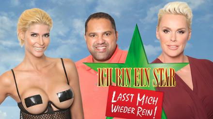 Nix gegen Micaela Schäfer (links) und Ailton - aber ins Finale um die "Dschungelcamp"-Teilnahme konnte es nur Brigitte Nielsen schaffen.