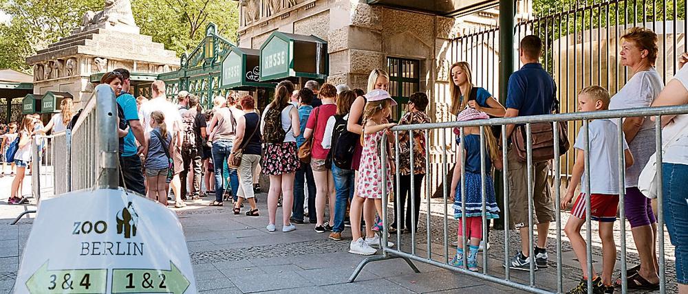 Eingang des Berliner Zoos am Hardenbergplatz: Um die Schlangen der Wartenden besser zu organisieren wurden jetzt Absperrgitter aufgestellt.