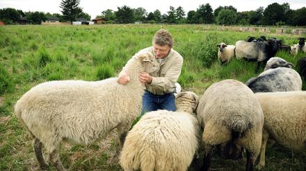 Schön kuscheln. Martin Heiße mit seinen Rauhwolligen Pommerschen Landschafen. 