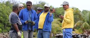 Arbeiter suchen am 29 Juli nach Teilen des vermissten Flugs MH370 auf La Réunion. Die Regierungen sich sich noch uneins über neue Funde.