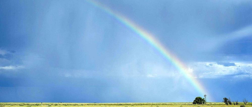 Flüchtige Farben. Während eines Gewitters spannt sich ein Regenbogen über dem flachen Horizont des ländlichen New Mexico, USA.