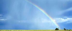 Flüchtige Farben. Während eines Gewitters spannt sich ein Regenbogen über dem flachen Horizont des ländlichen New Mexico, USA.