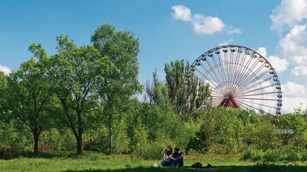 Capri liegt am Riesenrad. 