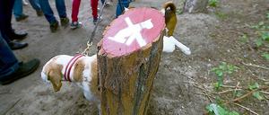 Ein Hund pinkelt bei einer Demonstration im Mai gegen ein Hunde-Verbotssschild am Schlachtensee. 