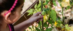 Kinder pflegen die "Mobilen Seelengärten".