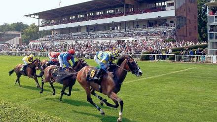 Gut gelaufen. Hachico mit Michael Cadeddu gewann am Sonnabend in Hoppegarten den Preis des Brandenburger Tor.