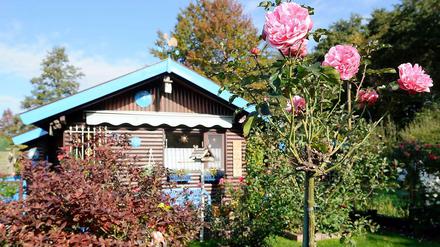 Ein eher konventioneller Schrebergarten in Berlin.