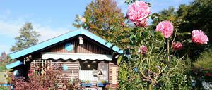 Ein Schrebergarten in Berlin.