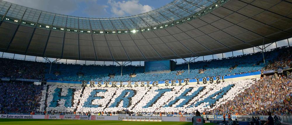 Hertha feiert sich und die Erstklassigkeit. Der HSV macht da gerne mit.