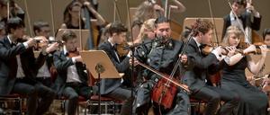 Pferdekopfgeiger. Der Solist Hasibagen beim Bundesjugendorchester. 