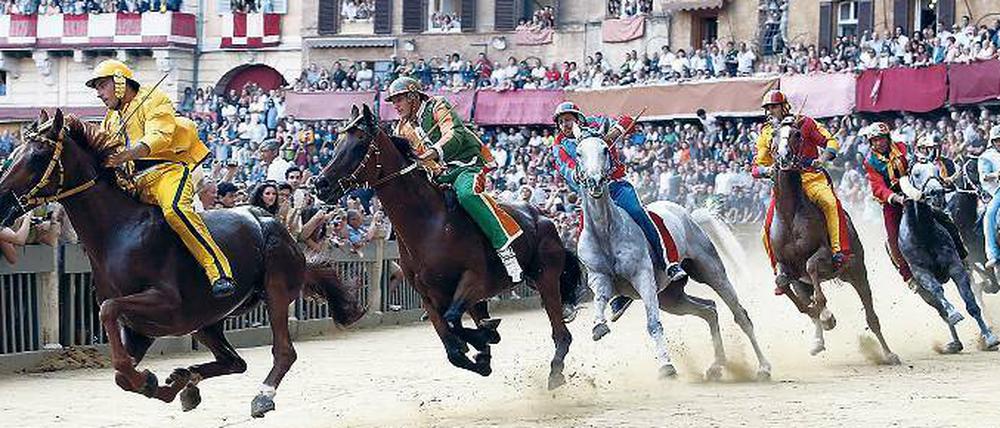 Kämpfen lassen. Die Contraden, die Stadtteile von Siena, mieten sich Jockeys. Letztes Jahr gewann beim Palio di Provenzano Alberto Ricceri für die Contrada Drago.