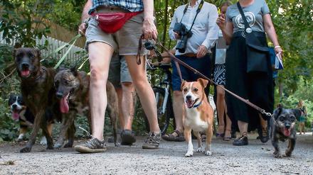 Kurze Leine: Hundebesitzer protestierten mit ihren Tieren am 11. August gegen das Hundeverbot am Schlachtensee.