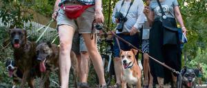 Kurze Leine: Hundebesitzer protestierten mit ihren Tieren am 11. August gegen das Hundeverbot am Schlachtensee.