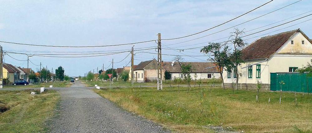 Nitchidorf - oder Nitzkydorf, wie die Banater Schwaben sagen - liegt gut 30 Kilometer östlich von Temeswar.