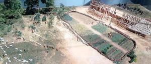 So fing alles an. Das Modell eines Langhauses im Archäologischen Landesmuseum Brandenburg zeigt die beginnende Sesshaftigkeit in der Region während der Jungsteinzeit mit Ackerbau, Viehzucht und Waldnutzung. Die Kulturpflanzen jener Zeit kamen ursprünglich aus dem „Fruchtbaren Halbmond“ – heute Syrien und Irak. 