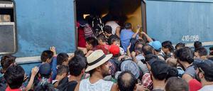 Flüchtlinge am Bahnhof der griechisch-mazedonischen Grenzstadt Gevgelija. Viele von ihnen wollen nach Deutschland.