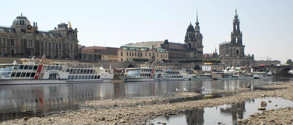 Die Elbe ist zu einem schmalen Flüsschen geworden. Die Hitze hat nicht einmal mehr genug Wasser für die Ausflugsdampfer in Dresden übrig gelassen. 