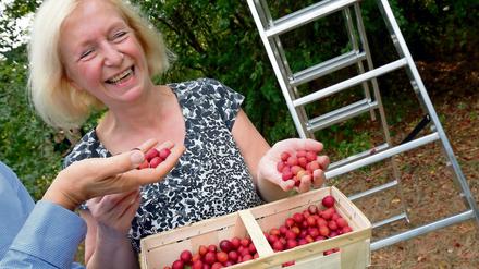 Bundesbildungsministerin Johanna Wanka mit frisch geerntetem Obst.