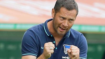 Mit Fäustchen: Pal Dardai mag kernige Ansagen.