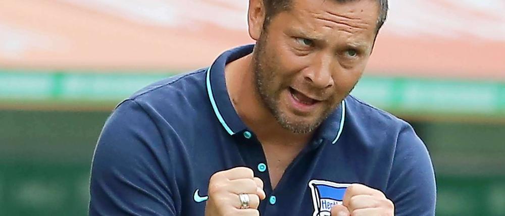 Mit Fäustchen: Pal Dardai mag kernige Ansagen.