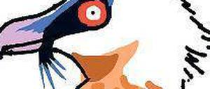 Ein Knochenbrecher soll er sein: der Bartgeier.