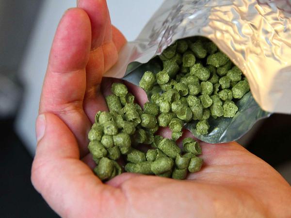 Beim dritten Schritt, dem Würzekochen, wird Hopfen hinzugegeben.