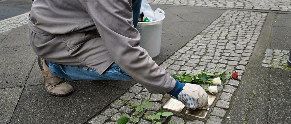 Stolpersteine auf der Konrad-Wolf-Straße.