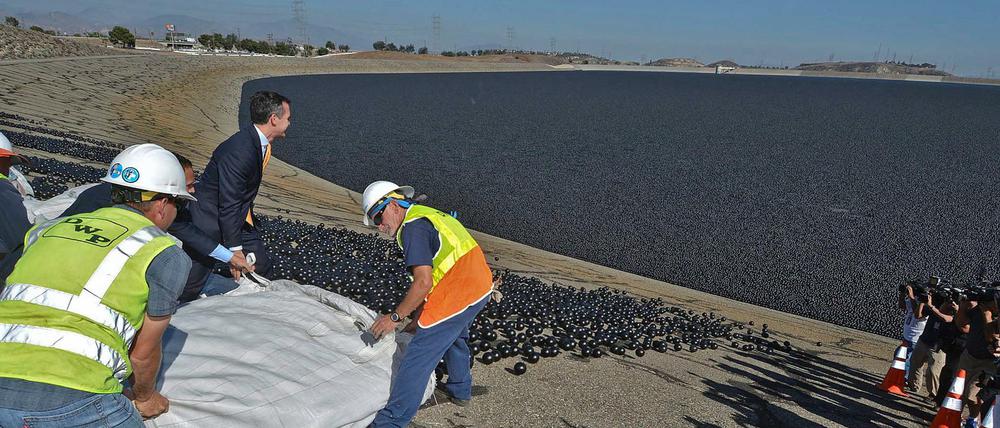 Ein Experiment. Mit Millionen schwarzer Plastikkugeln soll das knappe Wasser in den Reservoirs von Los Angeles vor dem Verdunsten geschützt werden.