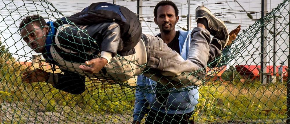 Täglich versuchen Flüchtlinge vom französischen Calais aus auf die britische Insel zu gelangen.