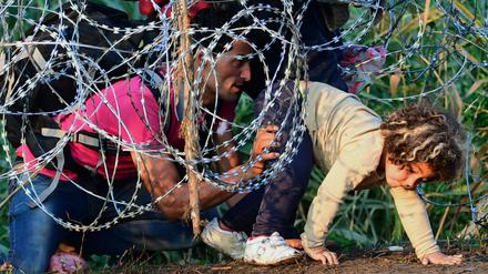 Tausende Flüchtlinge versuchen derzeit, die Grenze von Serbien ins EU-Land Ungarn zu überqueren.