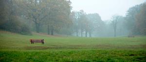 Hasenheide im Nebel.