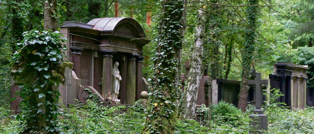 Überwucherte Grabstätten; fotografiert auf dem Südwestkirchhof Stahnsdorf südlich von Berlin - für die Aktion "Saubere Sache".