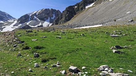 Im nördlichen Pindos-Gebirge befindet sich der größte Nationalpark auf dem griechischen Festland