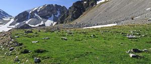 Im nördlichen Pindos-Gebirge befindet sich der größte Nationalpark auf dem griechischen Festland