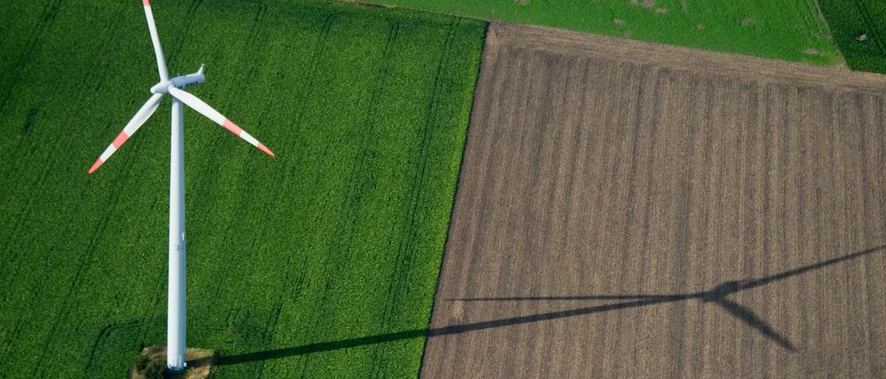 "Es bringt dem System langfristig nichts, wenn der Staat bestimmte Flexibilitätsanbieter wie z. B. neue Speicher mit Subventionen überversorgt"