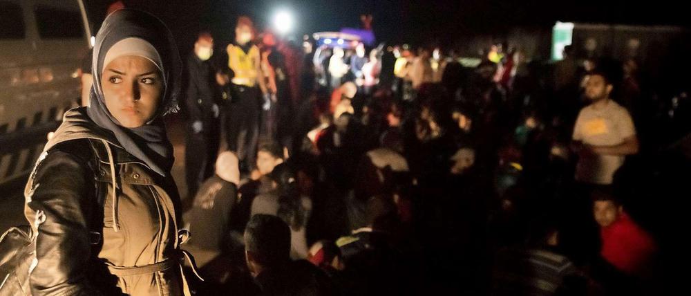 Flüchtlinge erreichen die serbisch-ungarische Grenze in der Nähe von Röszke.