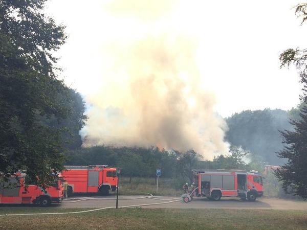 Dichter Qualm steigt über dem Gelände der ehemaligen Karl-Bonhoeffer-Nervenklinik in Berlin-Reinickendorf auf.