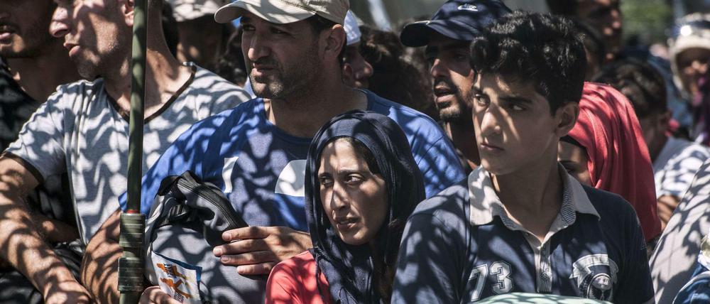 Migranten an der serbisch-ungarischen Grenze: Das Thema Flüchtlinge beherrscht die Westbalkan-Konferenz in Wien.