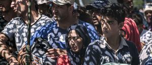 Migranten an der serbisch-ungarischen Grenze: Das Thema Flüchtlinge beherrscht die Westbalkan-Konferenz in Wien.