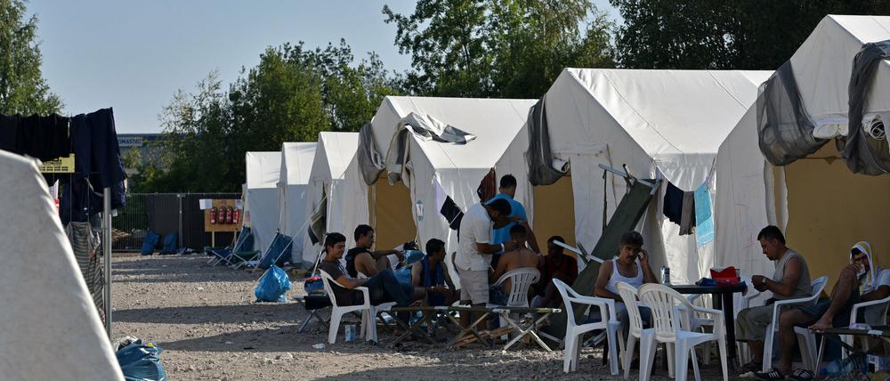 In Deutschland müssen womöglich noch mehr Zeltlager für Flüchtlinge gebaut werden wie dieses in Dresden. Mehrere Bundesländer erwarten in diesem Jahr bis zu eine Million Flüchtlinge.