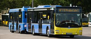 BVG im XXL-Format. Der neue "Buszug" wird präsentiert.