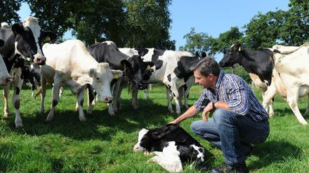 Viele kleinere und mittlere Milch-Betriebe können derzeitige Milchpreise nicht lange durchhalten.