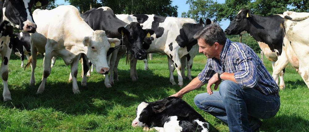 Viele kleinere und mittlere Milch-Betriebe können derzeitige Milchpreise nicht lange durchhalten.
