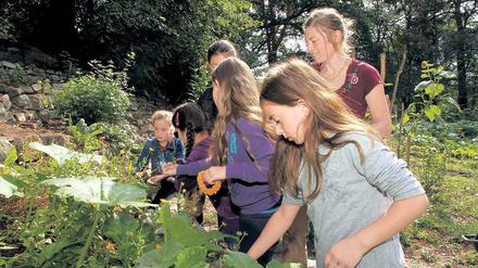 Da wächst was. Daniela Meyer mit Flüchtlingskindern bei der Arbeit im neu angelegten Garten des Erstaufnahmeheims. 