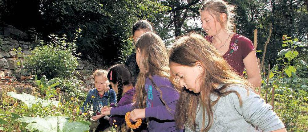 Da wächst was. Daniela Meyer mit Flüchtlingskindern bei der Arbeit im neu angelegten Garten des Erstaufnahmeheims. 
