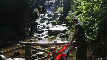 Wsserfall und Bäume im Park