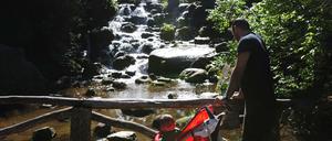 Wsserfall und Bäume im Park