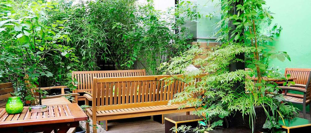 Der Garten der Männersauna Boiler ist einem Urwald nachempfunden.