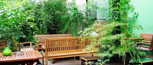 Der Garten der Männersauna Boiler ist einem Urwald nachempfunden.